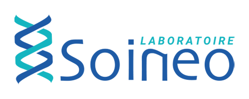 Logo Soineo