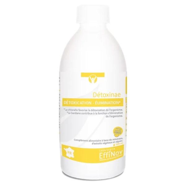 Detoxinae - Detoxication Elimination - Flacon 500 ml
